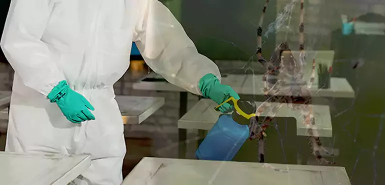 Why Buyers Still Want Homes With Pest Infestations in Campbellsville, KY?