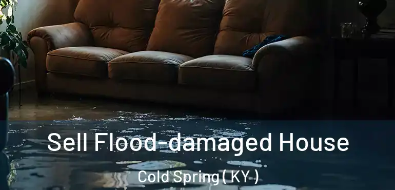  Sell Flood-damaged House Cold Spring ( KY )