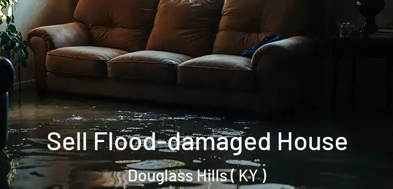  Sell Flood-damaged House Douglass Hills ( KY )