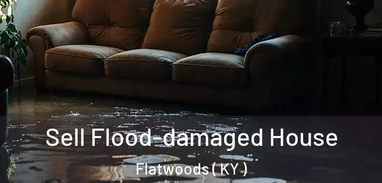  Sell Flood-damaged House Flatwoods ( KY )