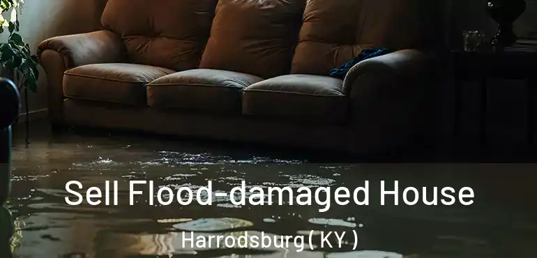  Sell Flood-damaged House Harrodsburg ( KY )