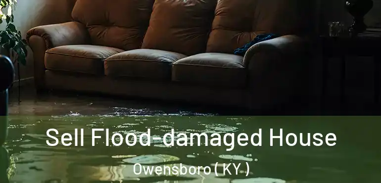  Sell Flood-damaged House Owensboro ( KY )