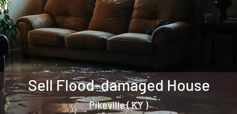  Sell Flood-damaged House Pikeville ( KY )