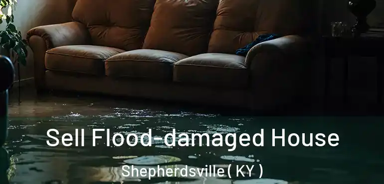  Sell Flood-damaged House Shepherdsville ( KY )