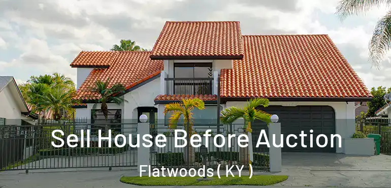  Sell House Before Auction Flatwoods ( KY )