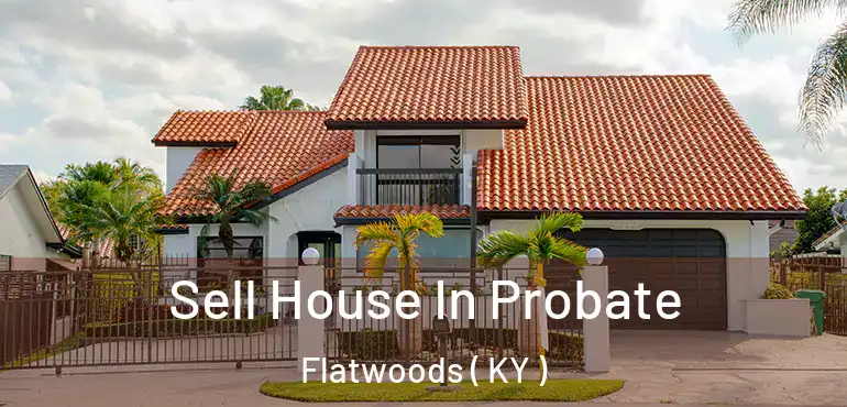  Sell House In Probate Flatwoods ( KY )