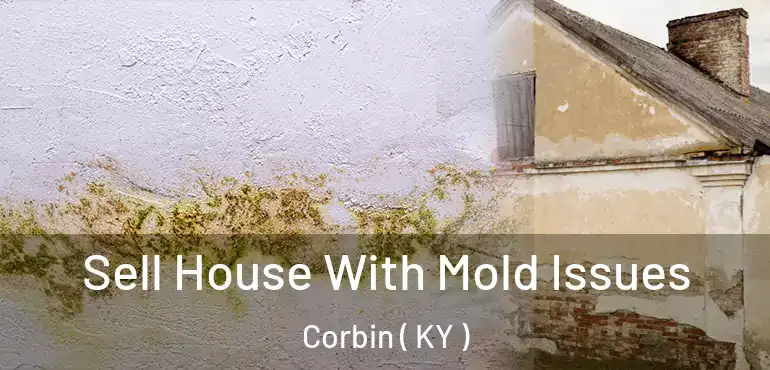  Sell House With Mold Issues Corbin ( KY )