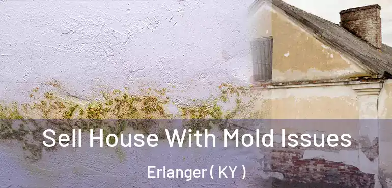  Sell House With Mold Issues Erlanger ( KY )