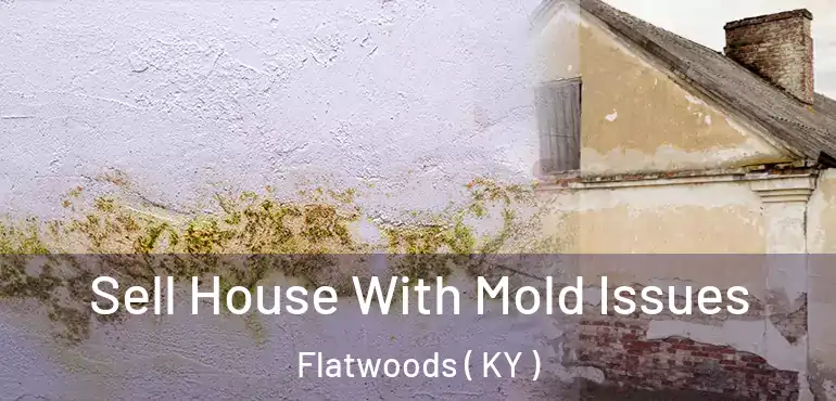  Sell House With Mold Issues Flatwoods ( KY )