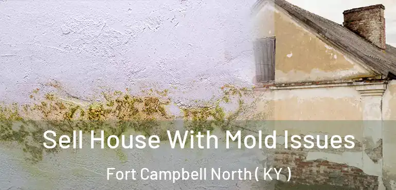  Sell House With Mold Issues Fort Campbell North ( KY )