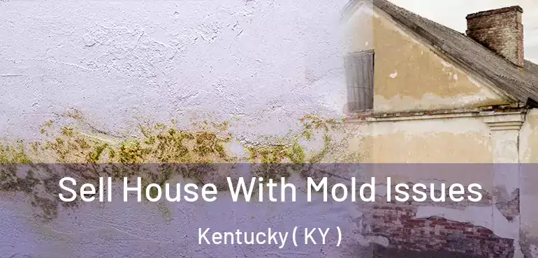  Sell House With Mold Issues Kentucky ( KY )