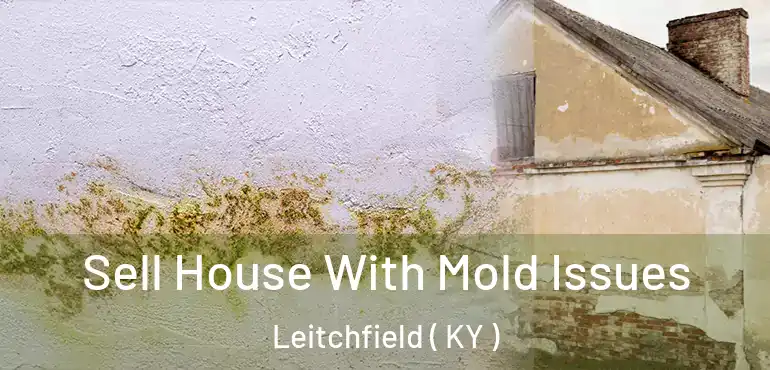  Sell House With Mold Issues Leitchfield ( KY )