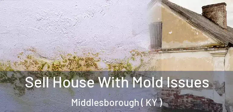  Sell House With Mold Issues Middlesborough ( KY )