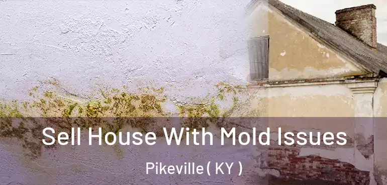  Sell House With Mold Issues Pikeville ( KY )
