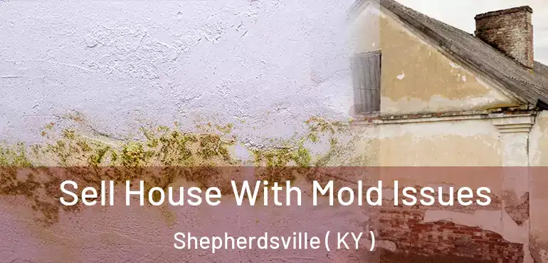  Sell House With Mold Issues Shepherdsville ( KY )