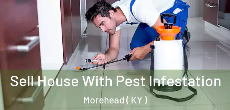  Sell House With Pest Infestation Morehead ( KY )